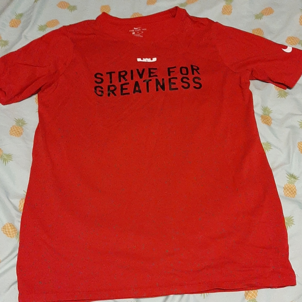 Lebron T shirt